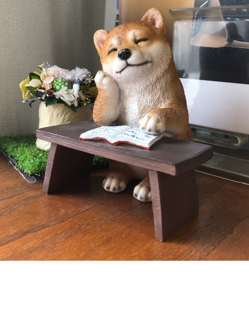 Smiling Network事業